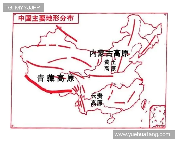 裁判与球员站位分析及其对比赛节奏和判罚的影响研究